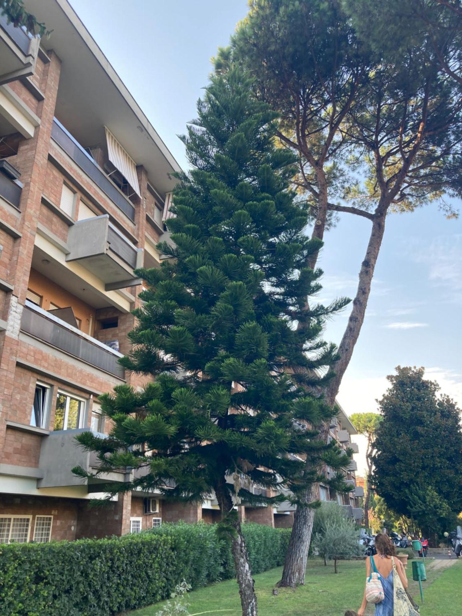 Terracito! Appartement *